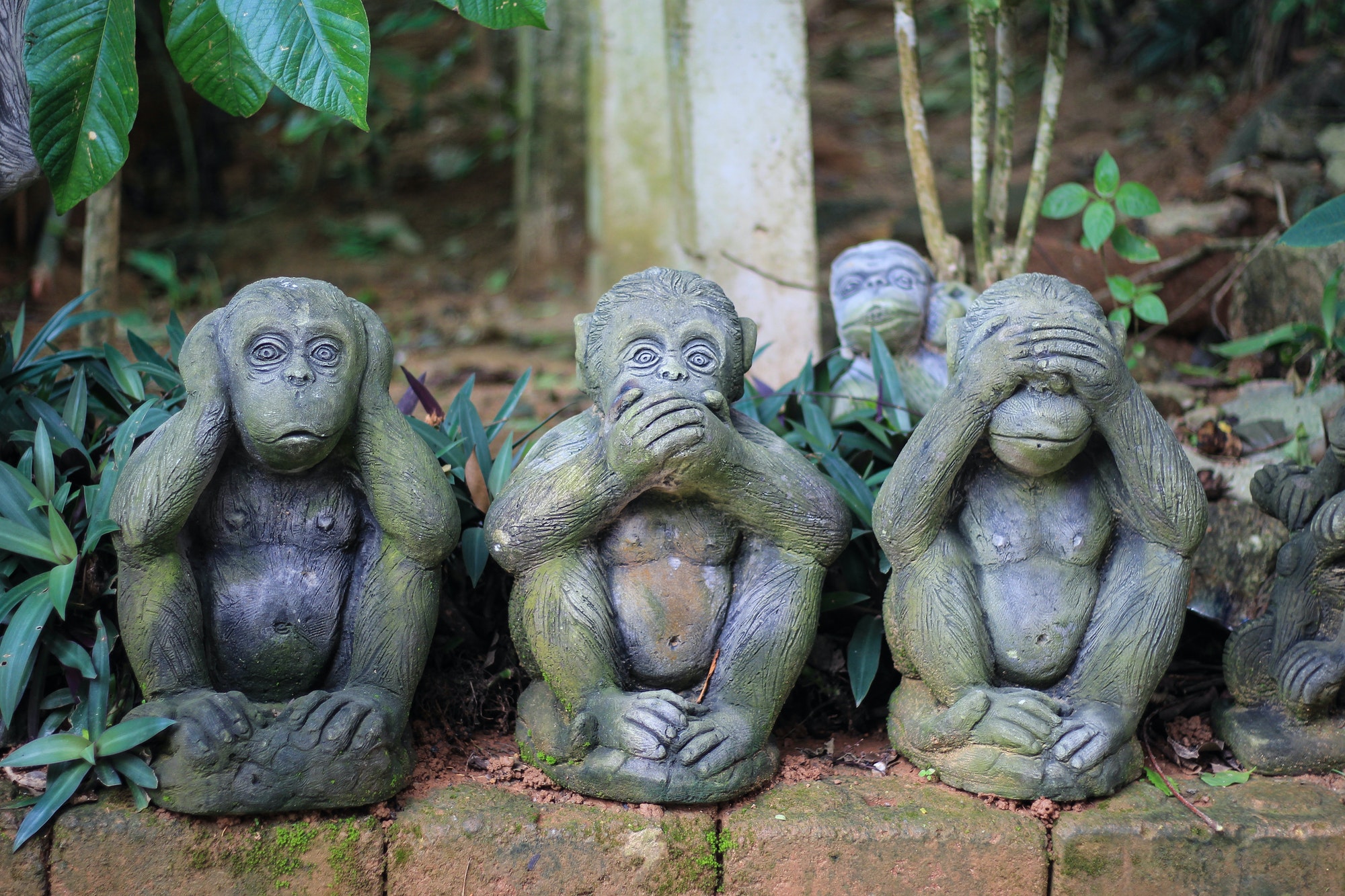 Three Wise Monkeys - See No Evil, Hear No Evil, Speak No Evil